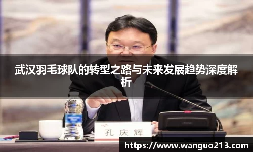 武汉羽毛球队的转型之路与未来发展趋势深度解析