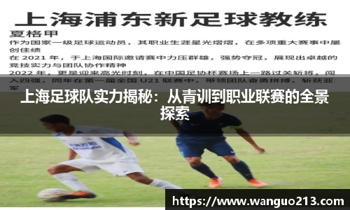 上海足球队实力揭秘：从青训到职业联赛的全景探索